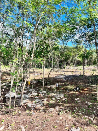 Terrenos De Inversión En Yucatán, Valladolid, México