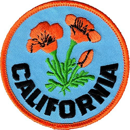 Amapolas De California Naranja Logotipo Sobre Fondo Azu...
