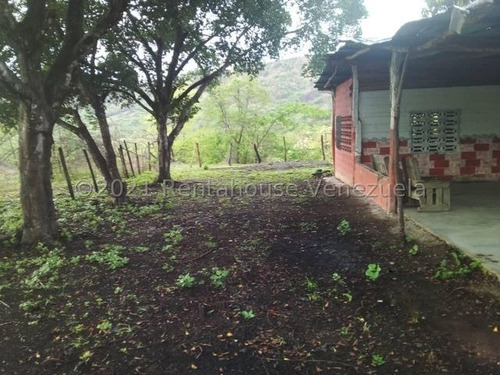 Imagen 8 de 8 de Finca Vallecito Carretera Vía San Sebastián De Los Reyes. Codigo 22-14451 Yinett A