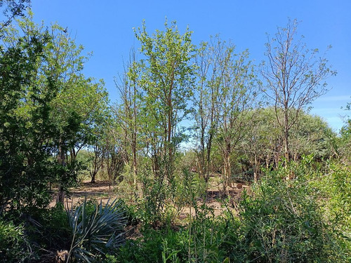06742- Aloja Inmobiliaria - Vendo Lotes Desde 420m² A Metros Del Bv. Las Gemelas - Capilla Del Monte