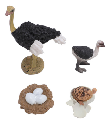 Figura De Pvc Con Forma De Ciclo De Vida De Avestruz, Animal