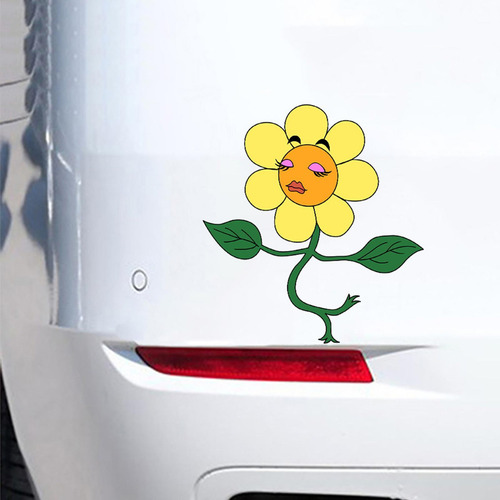 Calcomanías Autoadhesivas Para El Exterior Del Auto Calcoman