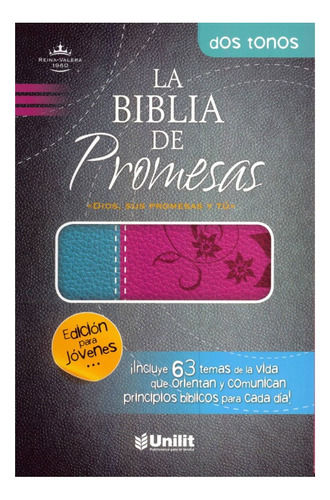 Biblia De Promesas Rvr60  Edicion Para Jovenes