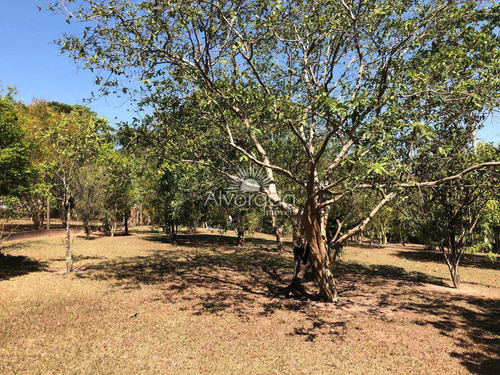 Chácara Com 3 Dorms, Colina Santa Isabel, Piracicaba - R$ 450 Mil, Cod: Ch079 - Vch079