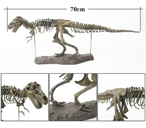 4d Dinosaurio Esqueleto Fósil Modelo Figura De Exhibición