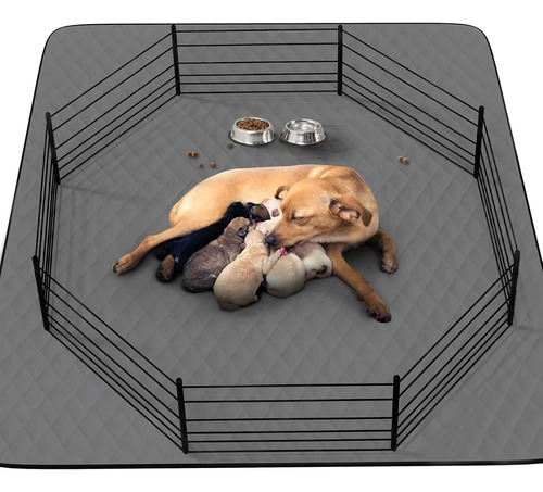Almohadilla Urinaria Lavable Coolshields Para Cachorros,
