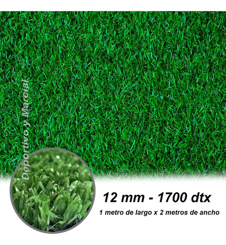 Cesped Sintetico Pasto Artificial 12 Mm 2 M2 1700dt Deportes
