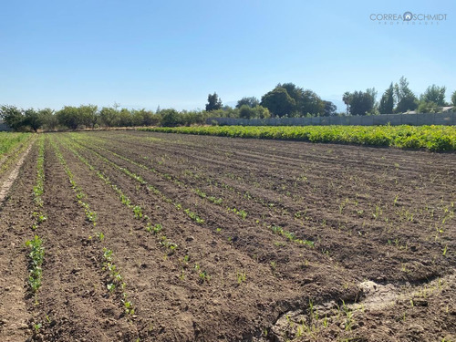 Terreno Construccion En Venta En Machalí