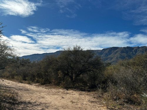 2 Lotes En Finca Punta Serrana