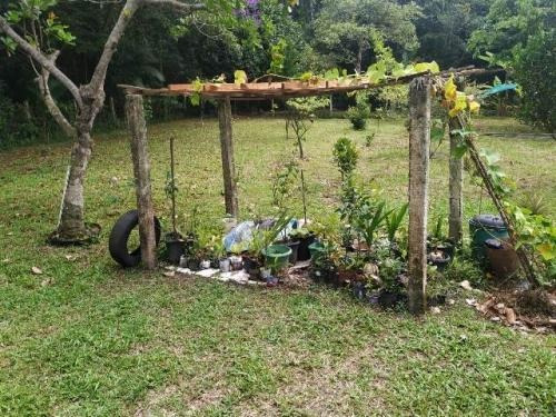 Chácara Com Lago E Árvores Frutíferas Em Itanhaém - 7747 Npc