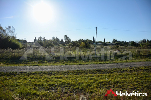 Imagen 6 de 8 de Terrenos En Colonia Valdense 710 A 715m2