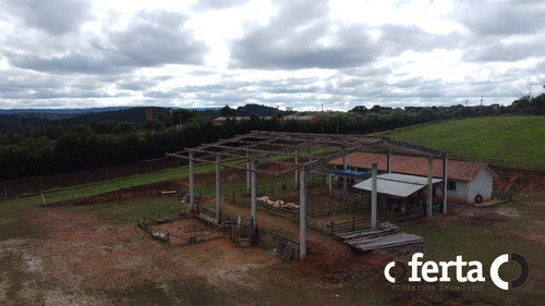 Imagem 7 de 15 de Terreno - Rodeio - Ref: 739 - V-739