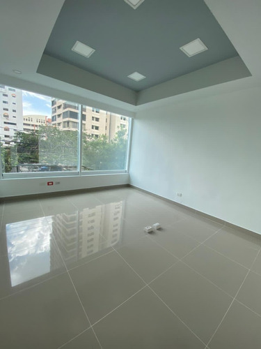 Local Comercial En Alquiler Piantini