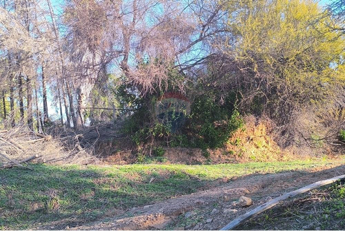 Parcela De 5000 M2 En Bosques De Aculeo