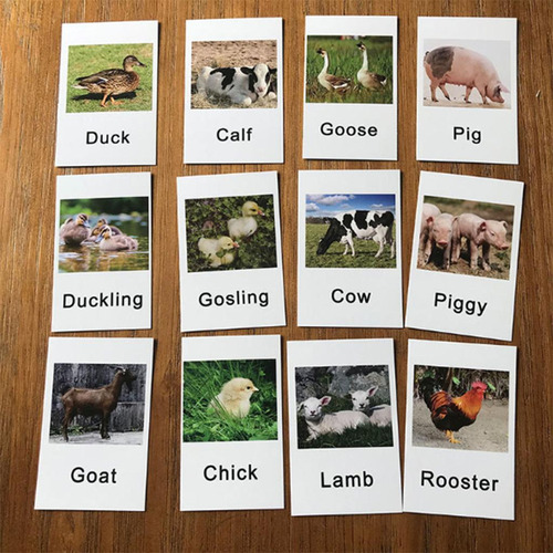 60x Montessori Juguetes De Animales De Con Tarjetas A