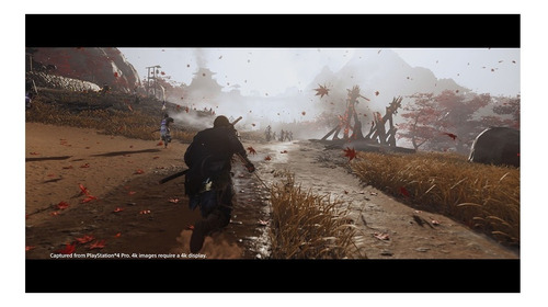 Ghost of Tsushima Special Edition PS4 Físico