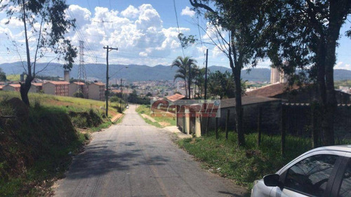 Imagem 4 de 7 de Terreno À Venda, 1000 M² Por R$ 300.000,00 - Cézar De Souza - Mogi Das Cruzes/sp - Te0916