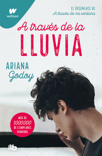 Libro A Traves De La Lluvia - Godoy, Ariana