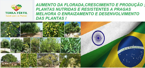 Terra Vegetal Especial Para Apartamentos Não Tem Estercos