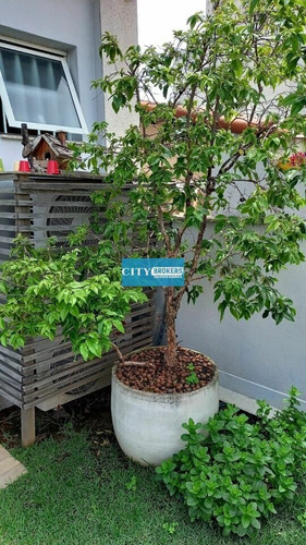 Imagem 9 de 15 de Casa A Venda 216m²-vila Rosalia Guarulhos Sp - Sp1459