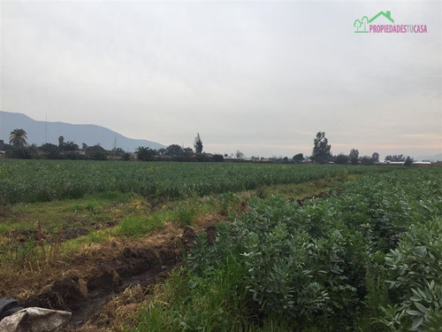 Parcela Agricola En Venta - Chiñigue El Cristo - Melipilla