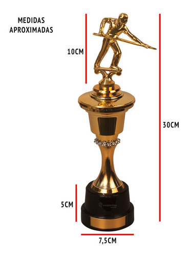 Imagem 4 de 4 de Troféu Piazza Snooker 30cm