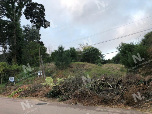 Imagen 6 de 8 de Terreno En Venta En Zona De Tranquilidad. - Punta Del Este Lugano