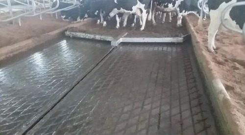 Imagem 3 de 5 de Removedor De Dejetos Bovinos