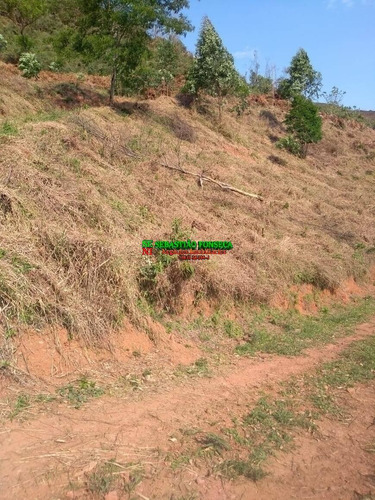 Imagem 4 de 7 de Sítio 30 Mil M² Em Monteiro Lobato - 1671