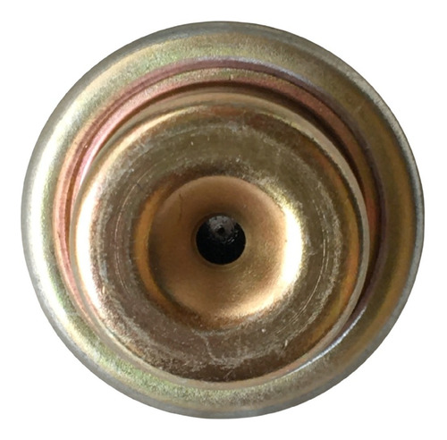 Regulador De Presion Gasolina Neon 2.0 95-99 Caravan 3.0 3.8