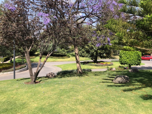 Departamento En Venta En Lomas Anahuac