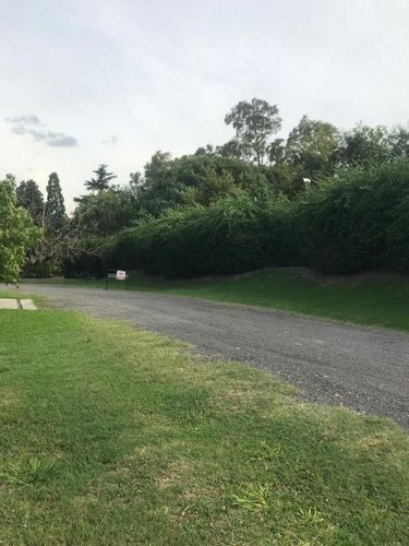 Imagen 3 de 7 de Lote | Belgrano 2850