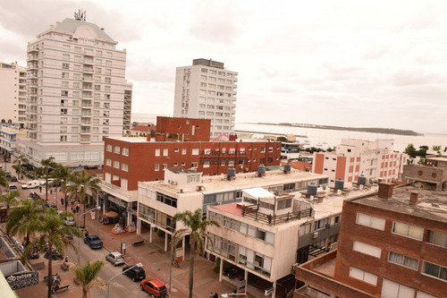 Apartamento En Peninsula, 2 Dormitorios *- Ref: 4764