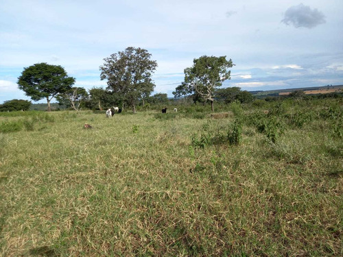 Imagem 9 de 14 de Sitio Chapadao Do Ceu 80 Alqueires Valor 6.500.000