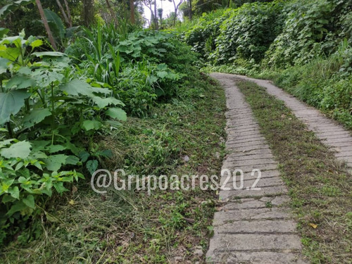 Imagen 7 de 10 de Se Vende Terreno Comercial A Orilla De Calle En San Diego De Los Altos, Edo. Miranda. Rz