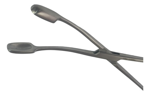 Pinca Winter, 27 cm, curva de acero inoxidable n.º 1 para placenta