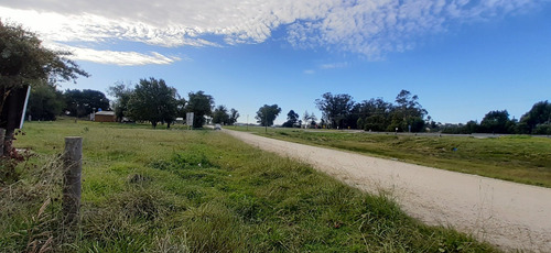 Dos Lotes En Ruta 2 - Km 394 - Sobre Colectora