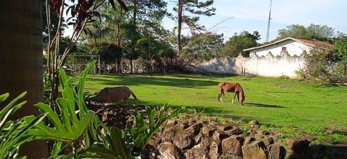 Imagem 15 de 16 de Chácara 15.000m2, Casa Sede Com 4 Dormitórios, 2 Suítes, Área Gourmet Com Churrasqueira, Casa De Caseiro, Lago, 2 Piscinas, Campo De Futebol, Quadra - Ch00291 - 71050509