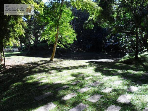 Imagem 4 de 20 de Terreno Residencial À Venda, Pedro Do Rio, Petrópolis. - Te0025