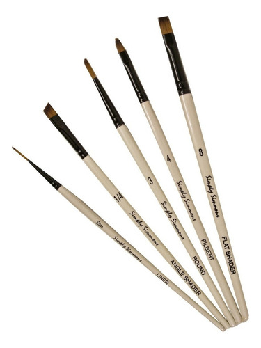 Set 5 Pinceles Daler Rowney Simply Simmons Acuarela Acrílico