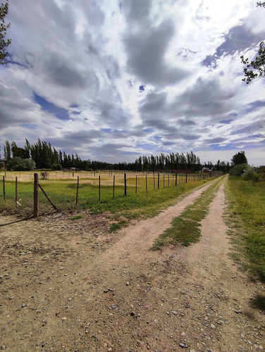 Imagen 7 de 10 de Lote En Venta En Cervantes