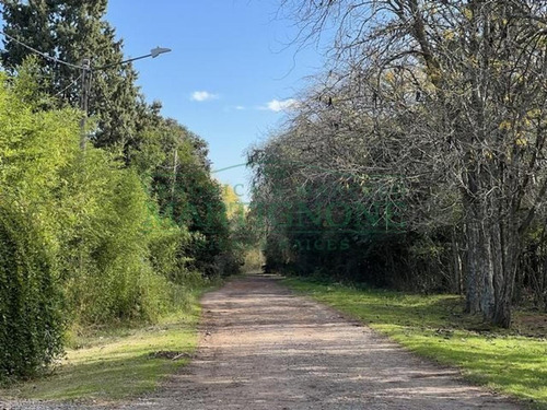 Imagen 6 de 8 de Terreno En Venta En 3216 M2 Fátima Manzanares Pilar