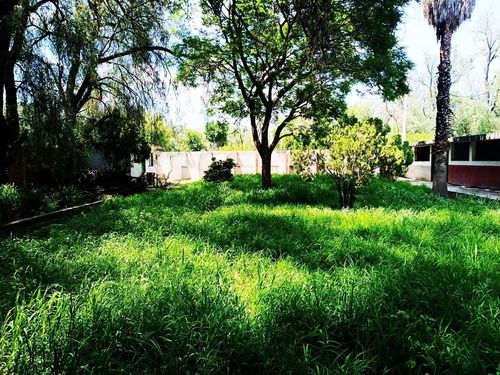 Terreno Bodega En Renta/venta San Jose De Los Mendoza Gto