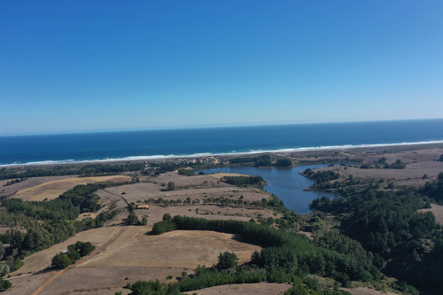 Mar Y Bosque Sobre Punta De Lobos