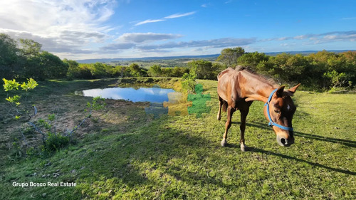 Se Vende Hermosa Chacra En La Zona De Las Cañas - Ref : Eqp6803