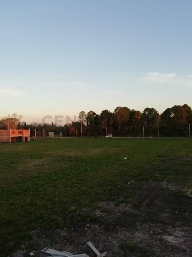 Imagen 8 de 30 de 486 Y 147. Lote De 990 M2 En Venta - Fincas De Gorina.-