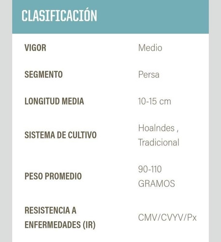 Semillas De Pepino Persa Jawell - 1000 Unidades De Ruiter (Usado)
