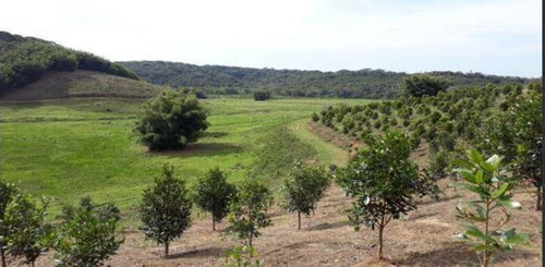 Imagem 1 de 6 de Fazenda - Fa00005 - 68142250
