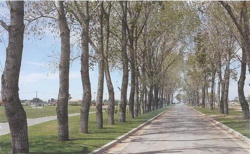 Imagen 3 de 5 de Terreno - La Alameda