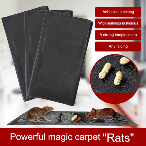 Trampas De Pegamento Para Ratones Pegajosa Ardilla Negro